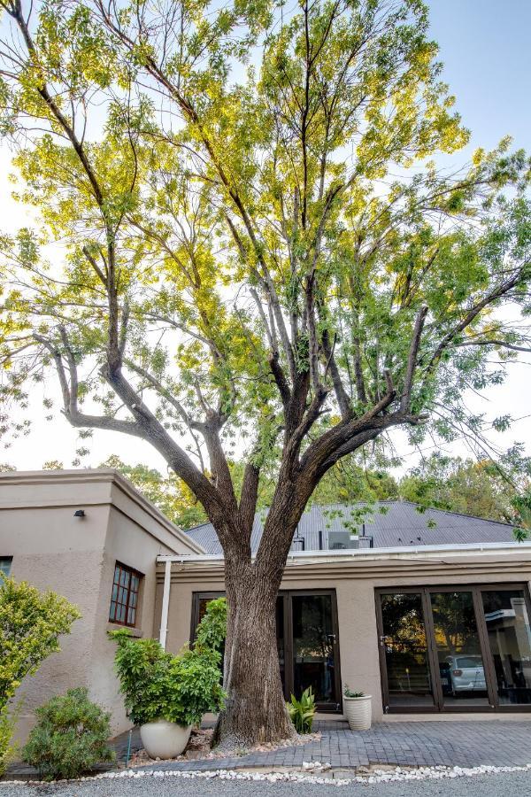 The Nightingale Guesthouse Bloemfontein Exterior photo